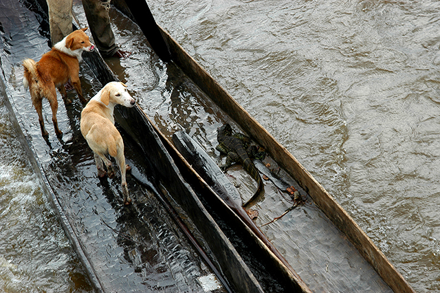 17Congo River